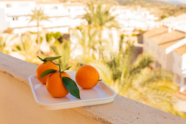 Ripe juicy oranges with leaves on a white tray on the balcony with a magnificent view of palm trees