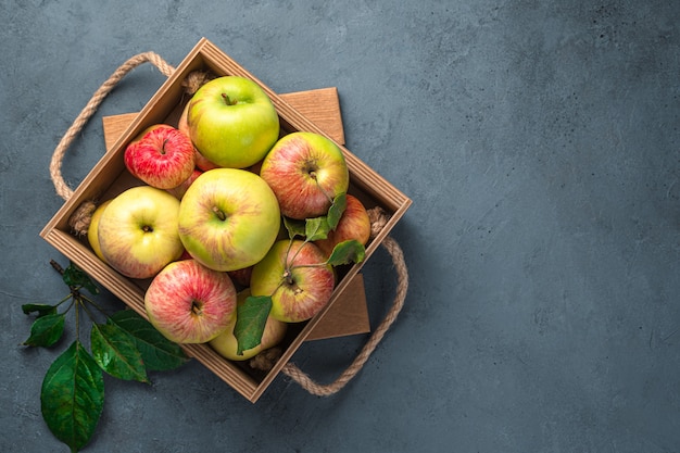 Ripe juicy organic apples on a grayblue background