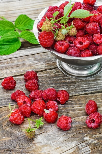 Ripe and juicy raspberries