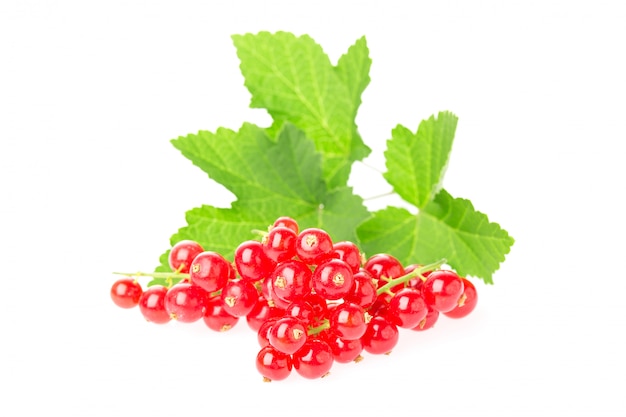 Ripe and juicy red currant berries with leaves isolated on white background.