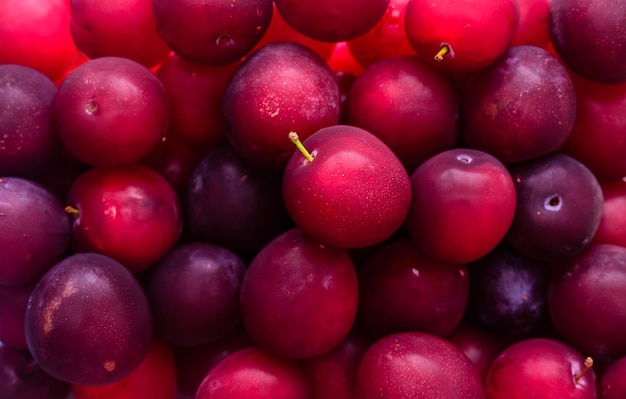 Ripe juicy red plum from the fridge food background