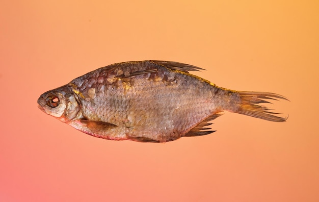 Foto i pomodori rossi succosi maturi sullo specchio, la raccolta, la cena.