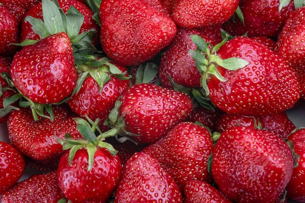 Fragola succosa matura come sfondo