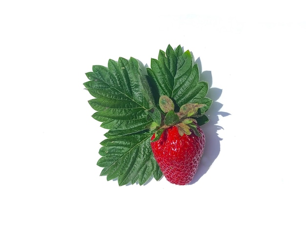 Ripe juicy strawberry with green leaves isolated on white background Closeup of a berry