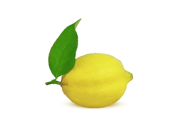 Limone maturo su un ramo