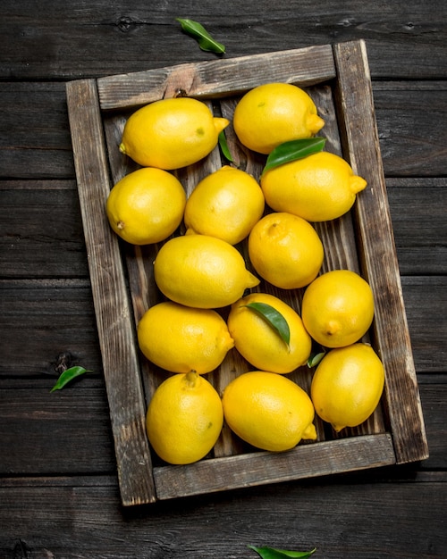 Ripe lemons in the tray