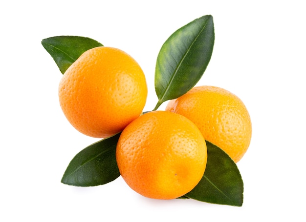 白い背景に分離された熟したマンダリン（クレメンタイン）オレンジ