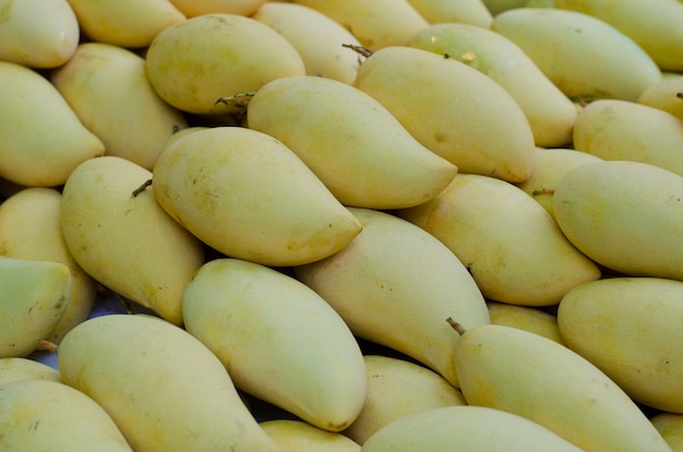 Ripe mango in local market, Thailand