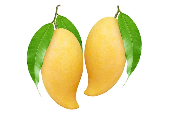 Ripe mango met groen blad geïsoleerd op witte achtergrond