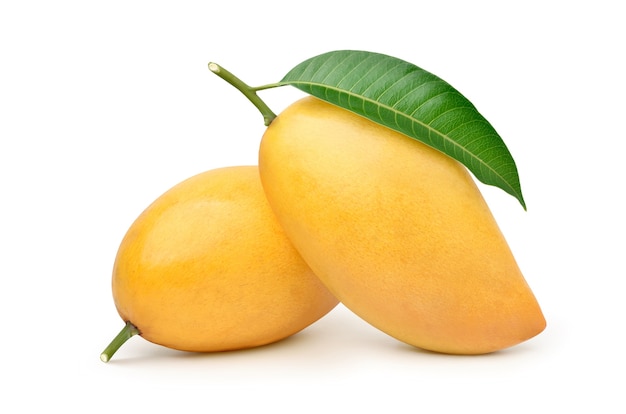 18 Surprising Health Benefits of Mango: Nutritional Value, & Side Effects