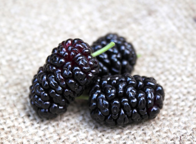 Ripe mulberries