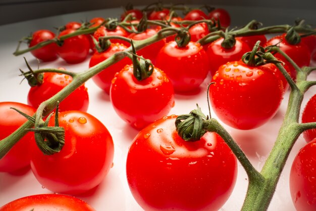 Ripe natural tomatoes on a branch