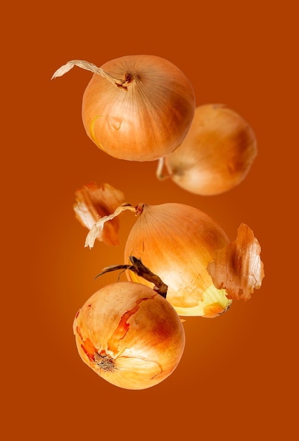 Ripe onion on brown background creative photo