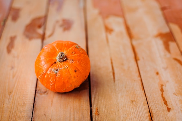 Ripe orange pumpkin on the vintage wooden floor