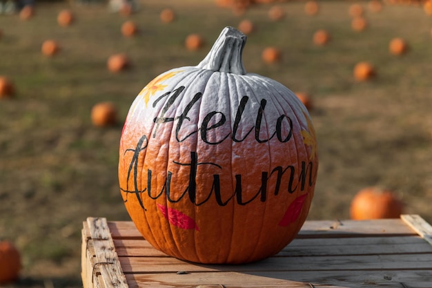 Ripe orange pumpkin with Hello Autumn inscription placed on wooden table on blurred background of farm field
