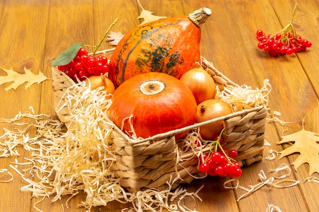 Ripe orange pumpkins and onions in wicker basket. Viburnum twigs and straw on basket. Wooden background. Top view