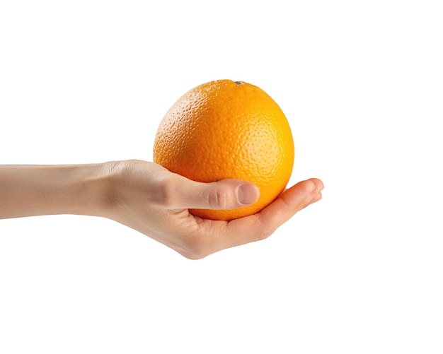 ripe orange in a woman hand