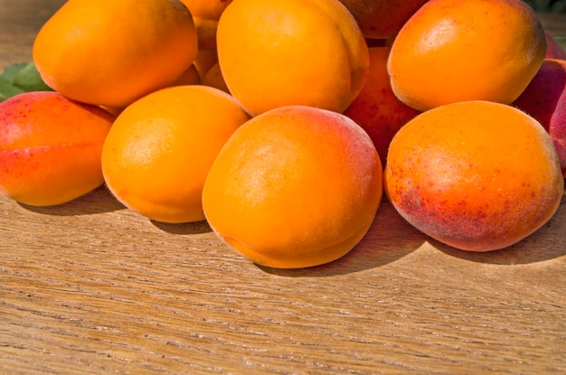 Ripe organic apricots