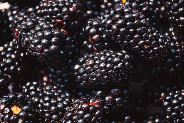 Ripe organic blackberries close up