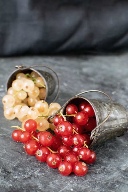 Ripe organic white currant small metal bucke on back