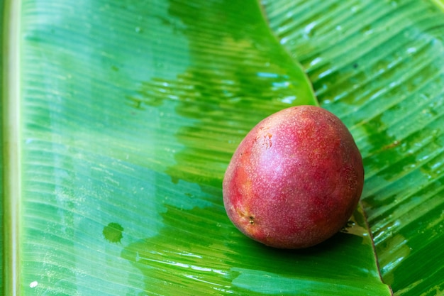 Зрелый маракуйя, на влажном банановом листе. Витамины, фрукты, здоровая пища