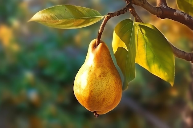 A ripe pear perched on a branch with autumn leaves