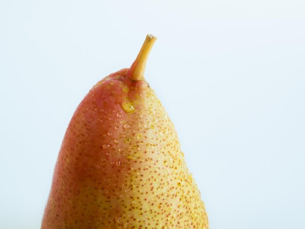 Ripe pear on white background. The cultivation of the pear in cool temperate climates extends to the remotest antiquity, and there is evidence of its use as a food since prehistoric times.