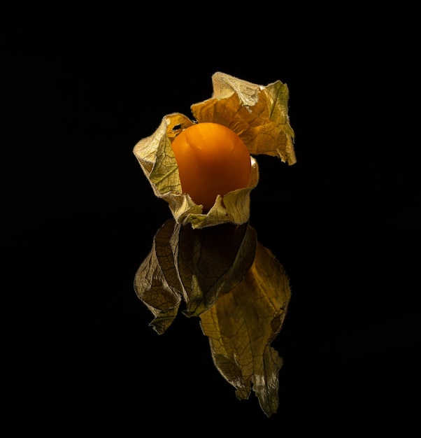 ripe physalis on black background with reflection