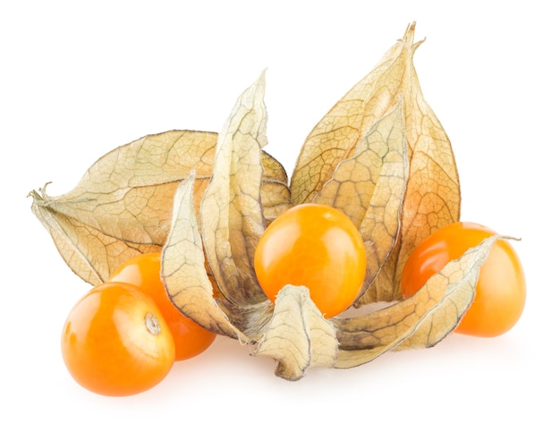 잘 익은 physalis 흰색 배경에 고립