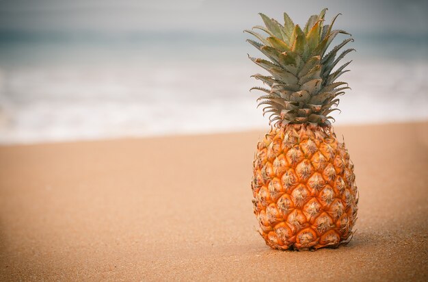 Ripe pineapple on the golden sand near the ocean