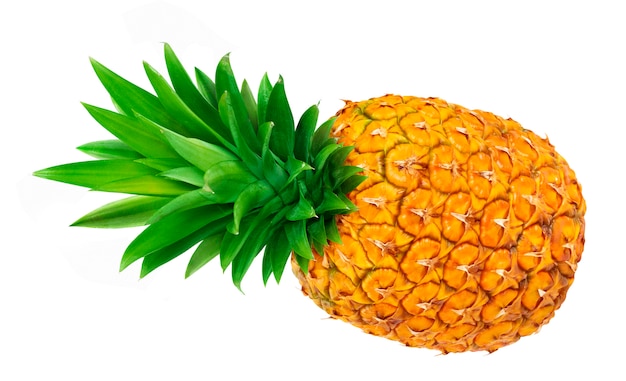 Ripe pineapple isolated