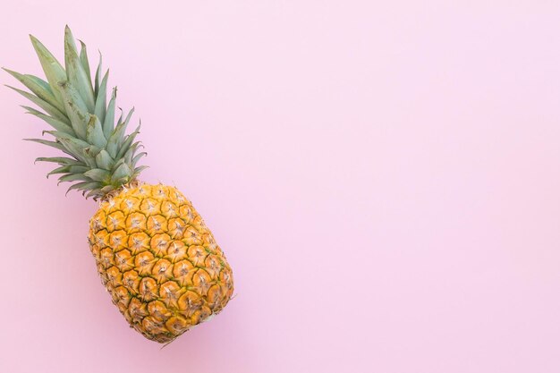 Ripe pineapple on a pink background