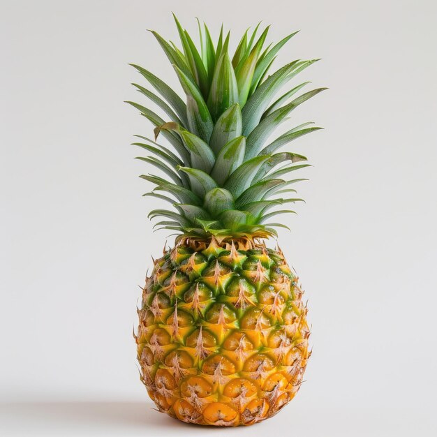 ripe pineapple on white background