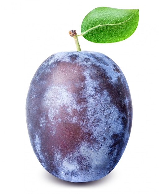 Ripe plum with leaf isolated 