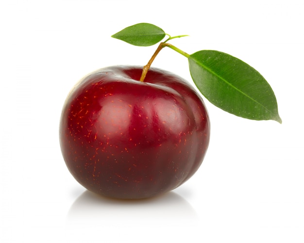 Ripe plums fruit isolated