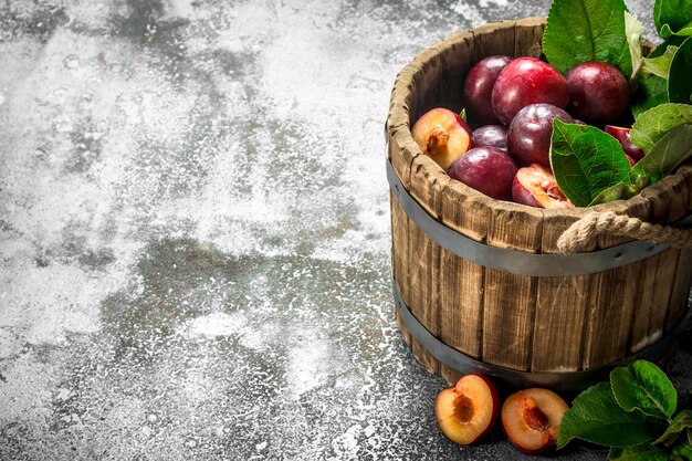 Ripe plums in a wooden bucket. On a rustic background.