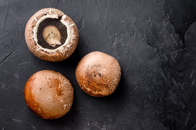 Ripe portobello mushrooms set on black