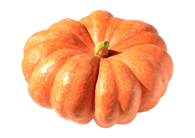 Photo ripe pumpkin element on white background