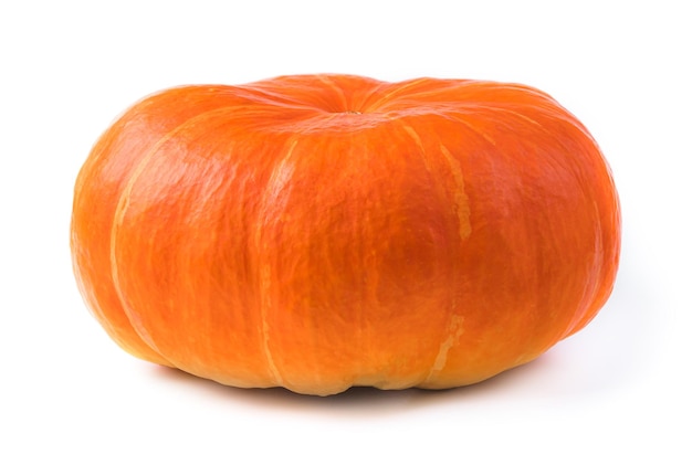 Ripe pumpkin isolated on a white background Side view