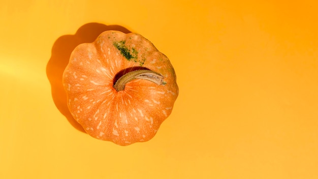 Ripe pumpkin on an orange background Top viewSpace for text