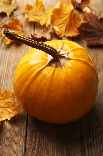 Ripe pumpkin on wooden background