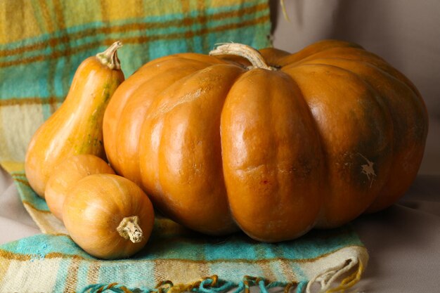 Ripe pumpkins on fabric background