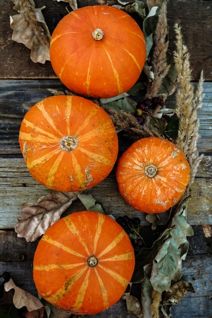 Ripe pumpkins harvest Autumn vegetables