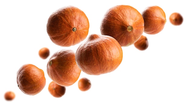 Ripe pumpkins levitate on a white background