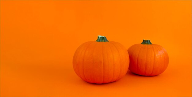 Ripe pumpkins on an orange background copy space