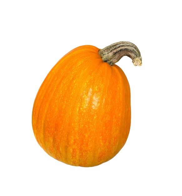 Ripe pumpkins on white