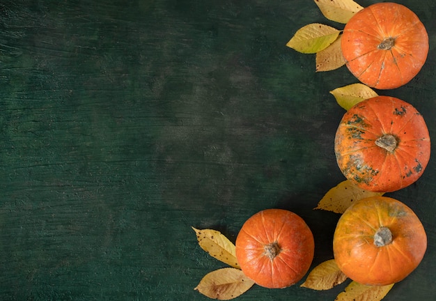 Ripe pumpkins and yellow leaves on dark 