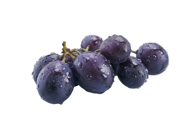 Ripe purple grapes isolated