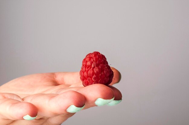 ripe raspberries on hand close-up