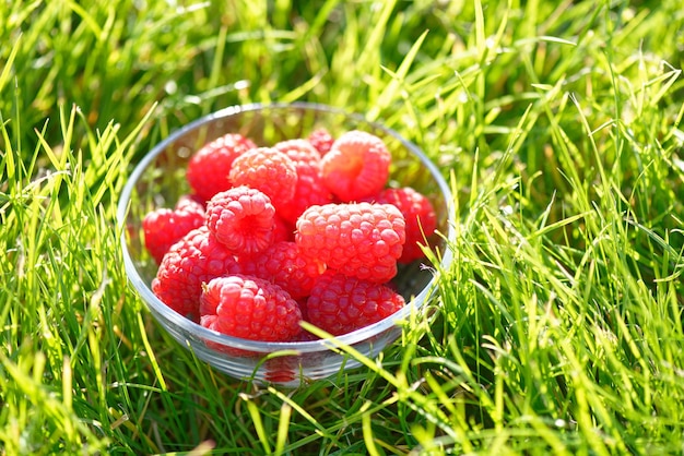 Ripe raspberries